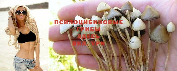 прущая мука Белоозёрский