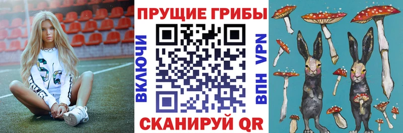 Галлюциногенные грибы MAGIC MUSHROOMS  Жуков 